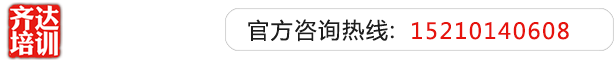 操大肥屄齐达艺考文化课-艺术生文化课,艺术类文化课,艺考生文化课logo